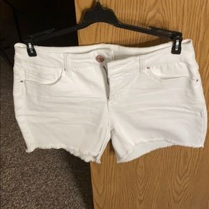 Ladies shorts